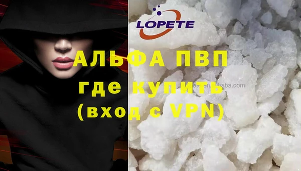 крисы Надым