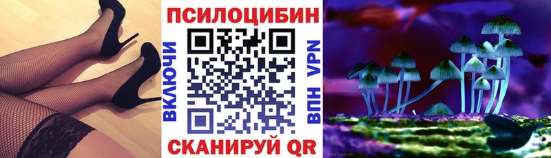 Псилоцибиновые грибы мицелий  наркота  Старый Крым 